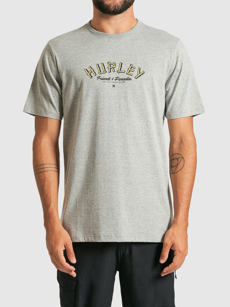 Camiseta Hurley Friendsof Paradise Cinza