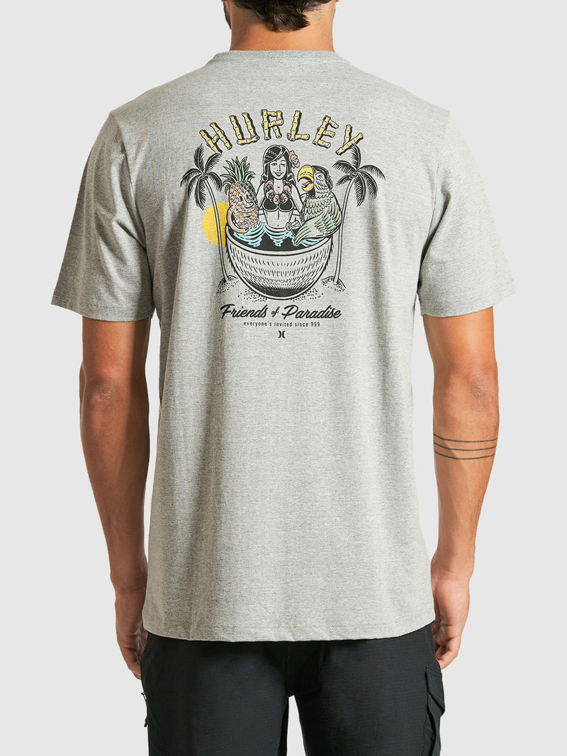 Camiseta Hurley Friendsof Paradise Cinza