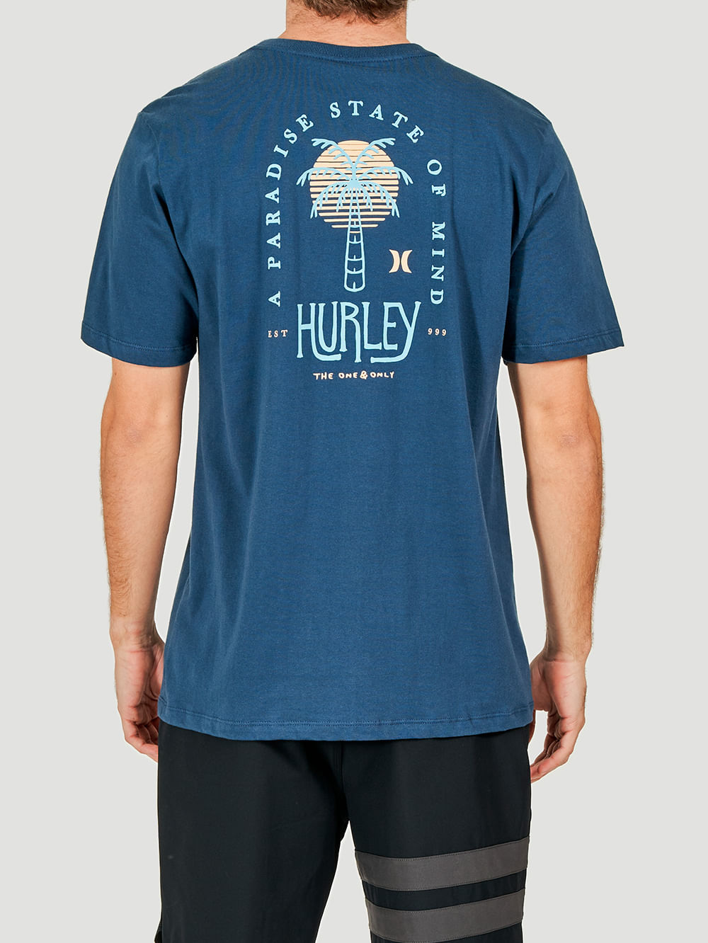 Camiseta Hurley Palms Marinho