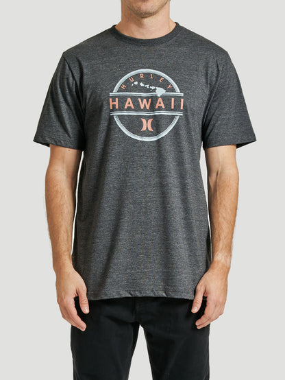 Camiseta Hurley Hawaii Cinza